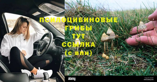 a pvp Дмитров