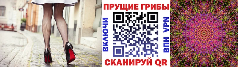 Купить  Ковдор  Псилоцибиновые грибы Cubensis 